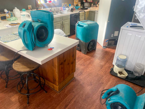 Best Mold removal after water damage  in Johnston, IA