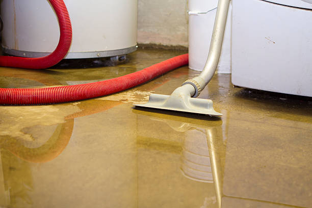 Best Water damage restoration near me  in Johnston, IA