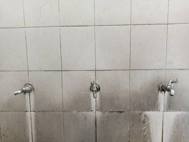 Best Ceiling water damage repair  in Johnston, IA