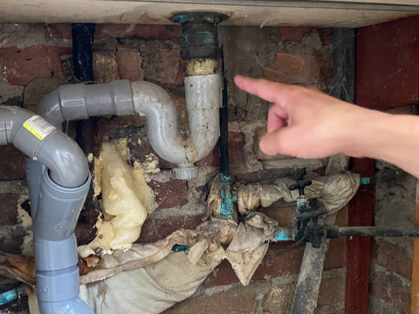 Best Water damage cleanup near me  in Johnston, IA